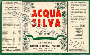 Acqua Silva (analisi 1989) -etichetta fondo beige con contorno verde- VE Nat 0,92l