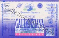 Fonte Gaudenziana (analisi 1997) vetro Friz 0,9 L