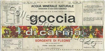 Goccia di Carnia Sorgente di Fleons (analisi 1978) VE Friz 0,92 L [021007]