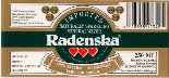 Radenska exp Singapore 0,25 L