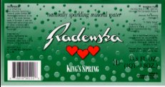 Radenska exp USA NewYork 1,0 L 