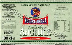 Sorgente Angelica (analisi 1999) vetro Friz 1,0 L