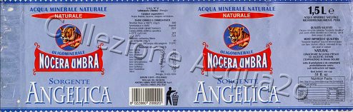 Sorgente Angelica (analisi 1999) Exp USA pet Nat 1,5 L