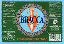 Antica Fonte BRACCA (analisi 2003) VE LegFriz 1,0 L