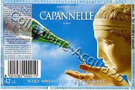 Santa Maria alle Capannelle (analisi 1993) VE Nat 0,42 L