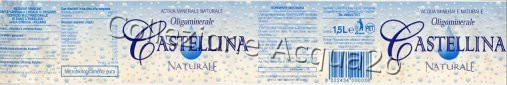 Castellina (analisi 1998) pet Nat 1,5 L