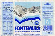 Fontemura (analisi 1988) pet 1,5 L