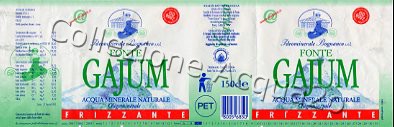 Fonte Gajum (analisi 1997) pet Friz 1,5 L