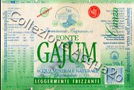 Fonte Gajum (analisi 1997) vetro Leg Friz 0,9 L
