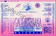 Fonte Gaudenziana (analisi 1997) vetro Nat 0,9 L