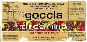 Goccia di Carnia Sorgente di Fleons (analisi 1969) VE Nat 0,92 L [021007]
