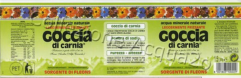 Goccia di Carnia Sorgente di Fleons -scritta nera su fondo verde- (analisi 2001) PET LegFriz 1,5 L + 0,5 L [031007]