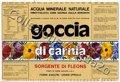 Goccia di Carnia Sorgente di Fleons (analisi 1978) VE Nat 0,92 L [021007]