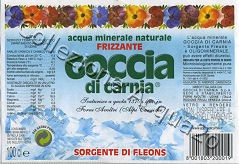Goccia di Carnia Sorgente di Fleons (analisi 2005) vetro Friz 1,0 L [021007]