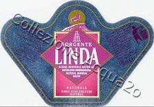 Sorgente Linda (analisi 1998) vetro Friz 0,75 L + 0,33 L (colore di fondo non reale)