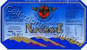 Fonte Napoleone (analisi 1998) vetro Nat 0,75 L