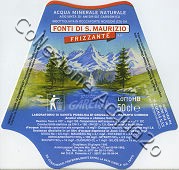Nuova Gareisa (analisi 1995) -Lotto B-Fonti di S.Maurizio- VE Friz  0,5 L + 1,0 L   [161007]