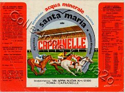 Santa Maria alle Capannelle (analisi 1976) vetro Friz 0,95 L