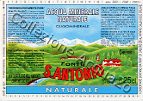 Fonte S. Antonio (analisi 1996) "serie paesaggio primaverile" vetro Nat 0,25 L