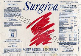 Surgiva (analisi 1987) vetro Friz 0,9 L