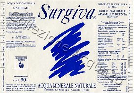 Surgiva (analisi 1987) vetro Nat 0,9 L