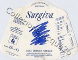 Surgiva (analisi 1992) -etichetta trapezoidale- vetro Nat 0,25 L