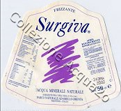 Surgiva (2000) vetro ar Friz 0,5 L
