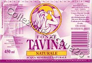 Fonte Tavina (analisi 1999) vetro Nat 0,45 L