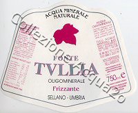 Fonte Tullia (analisi 2002) PET Friz 0,75 L